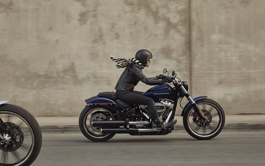 Customização The One Harley-Davidson®